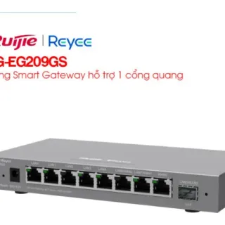 Smart Gateway 1 cổng quang RUIJIE REYEE RG-EG209GS